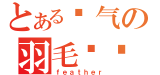 とある帅气の羽毛课长（ｆｅａｔｈｅｒ）