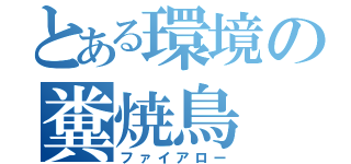 とある環境の糞焼鳥（ファイアロー）