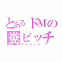 とあるドＭの糞ビッチ（やらないか）