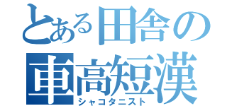 とある田舎の車高短漢（シャコタニスト）