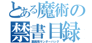 とある魔術の禁書目録（業務用サンダーバッグ）