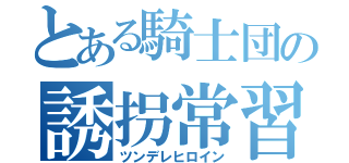 とある騎士団の誘拐常習犯（ツンデレヒロイン）