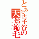 とある古千谷の天然縮毛（テンパー）