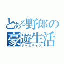 とある野郎の豪遊生活（ゲームライフ）