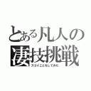 とある凡人の凄技挑戦（スゴイことをしてみた）