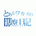 とあるワカメの観察日記（ワカメックス）