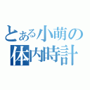 とある小萌の体内時計（）