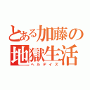 とある加藤の地獄生活（ヘルデイズ）