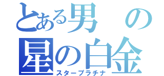 とある男の星の白金（スタープラチナ）