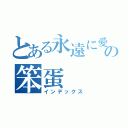 とある永遠に愛あなたの笨蛋（インデックス）