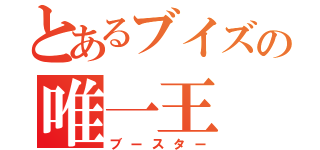 とあるブイズの唯一王（ブースター）