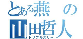 とある燕の山田哲人（トリプルスリー）