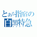 とある指宿の白黒特急（イブタマ）