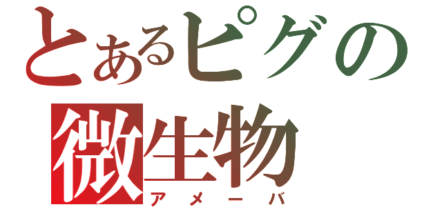 とあるピグの微生物（アメーバ）