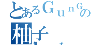 とあるＧｕｎＧａｌ＾の柚子（柚子）