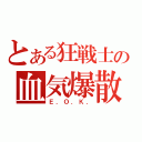 とある狂戦士の血気爆散（Ｅ．Ｏ．Ｋ．）