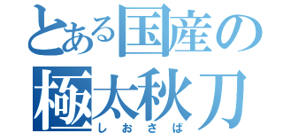 とある国産の極太秋刀魚（しおさば）