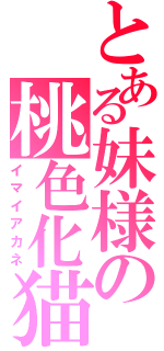 とある妹様の桃色化猫（イマイアカネ）