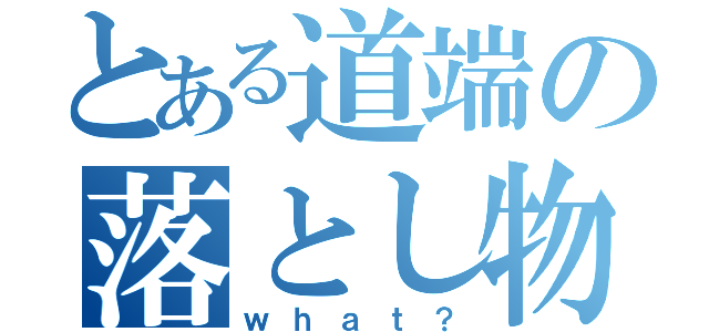 とある道端の落とし物（ｗｈａｔ？）