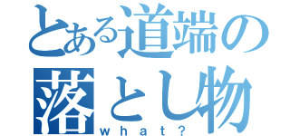 とある道端の落とし物（ｗｈａｔ？）