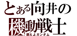 とある向井の機動戦士（燃えよガンダム）