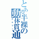 とある半裸の動体貫通（かんつー）