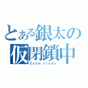 とある銀太の仮閉鎖中（Ｅｘａｍ ｓｔｕｄｙ）