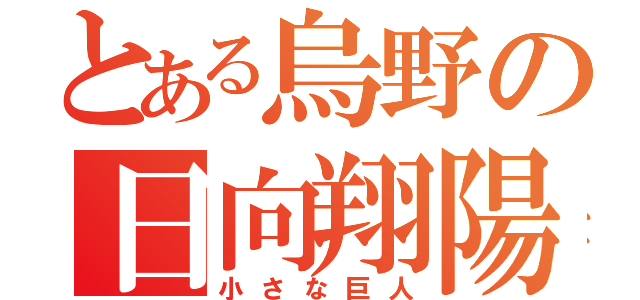 とある烏野の日向翔陽（小さな巨人）