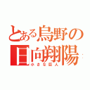 とある烏野の日向翔陽（小さな巨人）