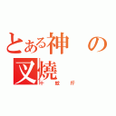 とある神の叉燒（十蚊斤）