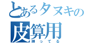 とあるタヌキの皮算用（神ってる）