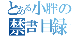 とある小胖の禁書目録（）