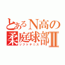 とあるＮ高の柔庭球部Ⅱ（ソフトテニス）