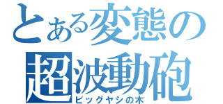 とある変態の超波動砲（ビッグヤシの木）