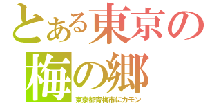 とある東京の梅の郷（東京都青梅市にカモン）