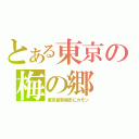 とある東京の梅の郷（東京都青梅市にカモン）