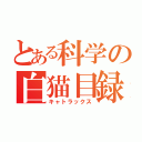 とある科学の白猫目録（キャトラックス）