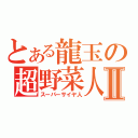 とある龍玉の超野菜人Ⅱ（スーパーサイヤ人）