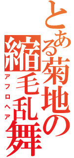 とある菊地の縮毛乱舞（アフロヘア）