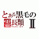 とある黒毛の霊長類Ⅱ（マウンテン・ゴリラ）