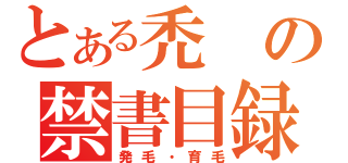 とある禿の禁書目録（発毛・育毛）