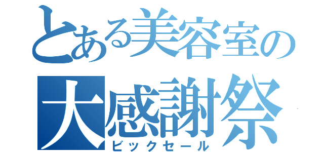 とある美容室の大感謝祭（ビックセール）