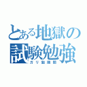 とある地獄の試験勉強（ガリ勉期間）