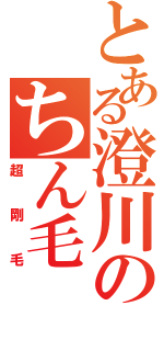 とある澄川のちん毛（超剛毛）