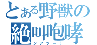 とある野獣の絶叫咆哮（ンアッー！）