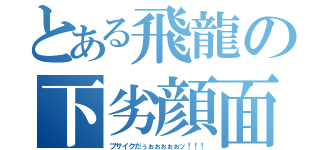 とある飛龍の下劣顔面（ブサイクだぅぉぉぉぉぉッ！！！）