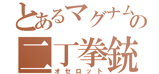 とあるマグナムの二丁拳銃（オセロット）