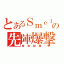 とあるＳｍｅｌｌの先陣爆撃（特攻部隊）