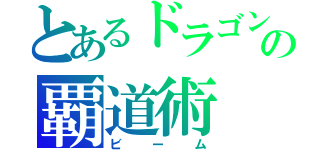 とあるドラゴンの覇道術（ビーム）