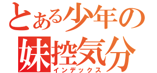 とある少年の妹控気分（インデックス）